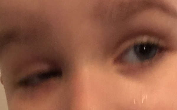 Christmas survival thread