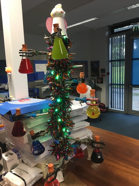 Lets see your trees!