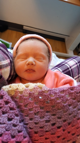 January babies #6 - waddling in to the 3rd trimester!