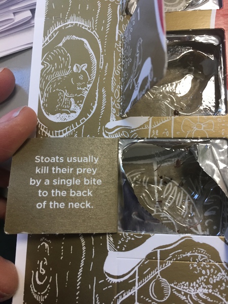 To have completely just lost my shit and spirit of Christmas?