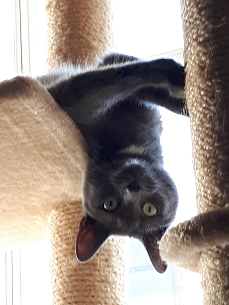 Sharing the Shitness - HOF Advent Calendar SPOILERS