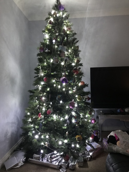 To want a peek at your tree?