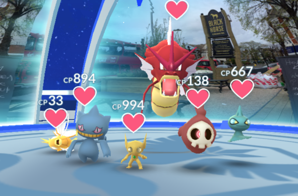 PokemonGo 13: I'm Bayleef, I'm the gardener, I walk from early dawn (to earn candy to evolve to Meganium)