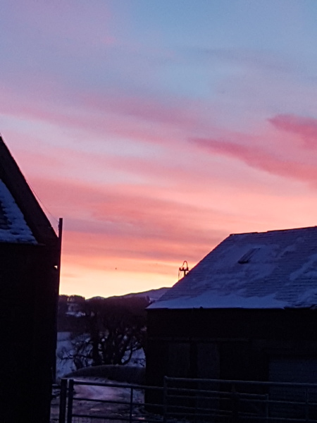 The Brave Babes Battle Bus - Braving The Wine Witch & Her Alcohol Free Autumn