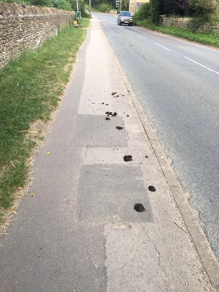 AIBU - Horse riders pick up poo?