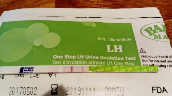 OPK line eyes please