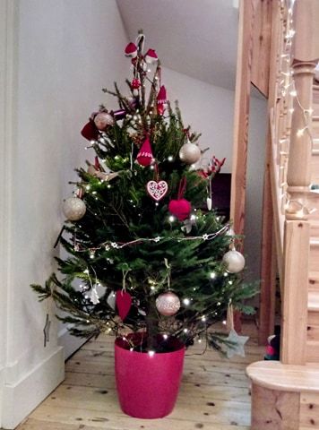 Lets see your trees!
