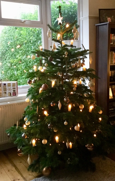 To want a peek at your tree?