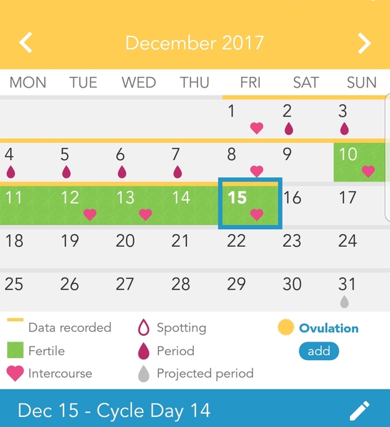 December Bus 2