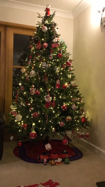 Lets see your trees!