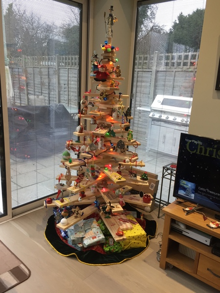 Show off your Christmas decorations