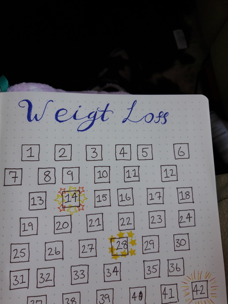 Pre-Christmas Low Carb Bootcamp - our final weigh in!