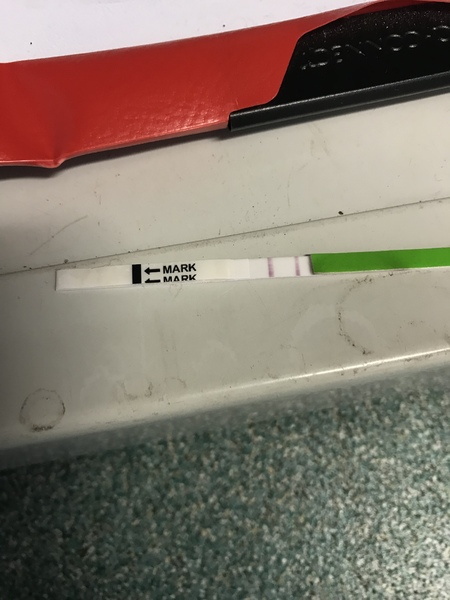 December Bus 2