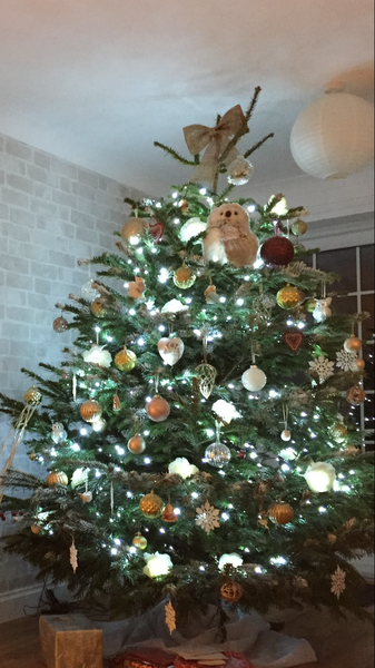 To want a peek at your tree?
