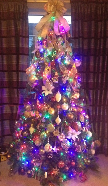Lets see your trees!