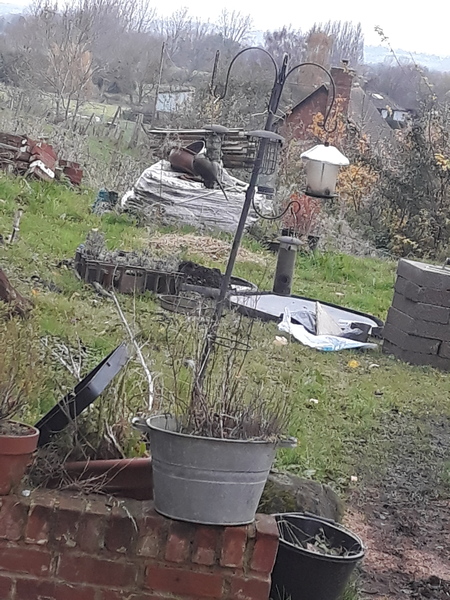 There's a XXX in my garden! Warning.