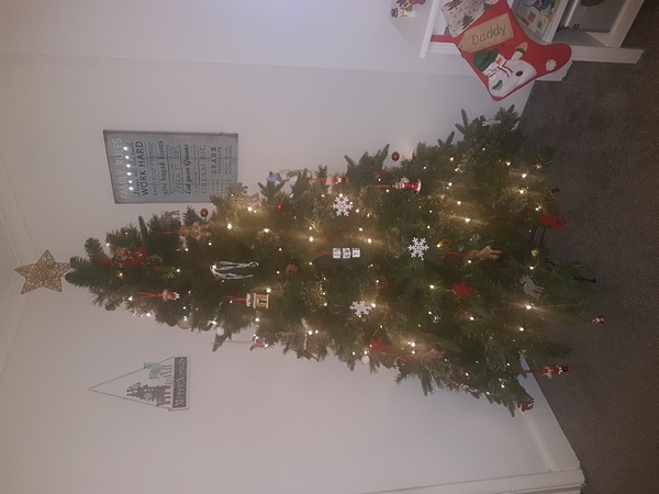 Lets see your trees!
