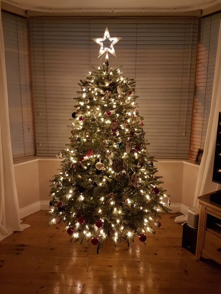 To buy a £300 Christmas tree?