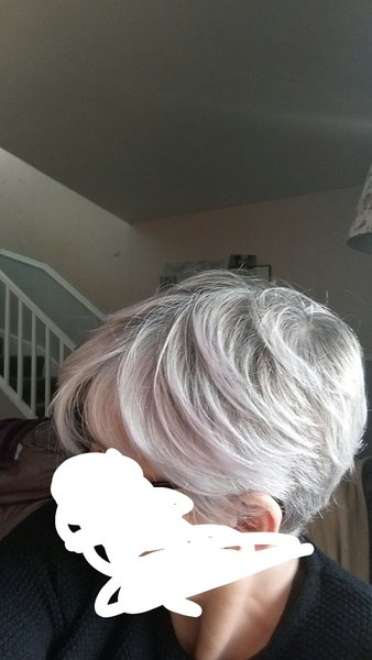 Head shave to go grey