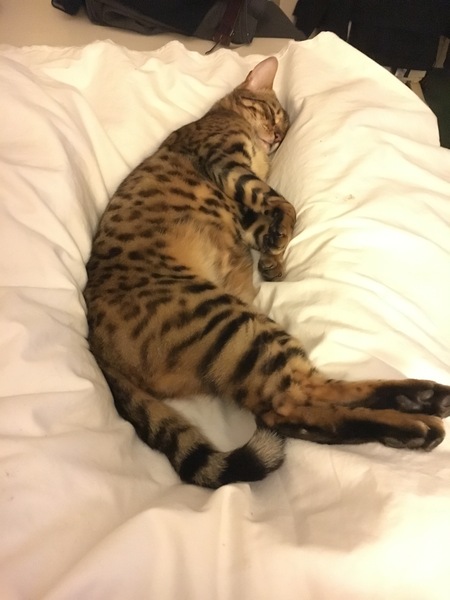 What is wrong with my boy?