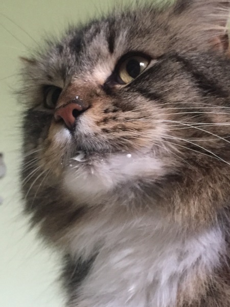 Sharing the Shitness - HOF Advent Calendar SPOILERS