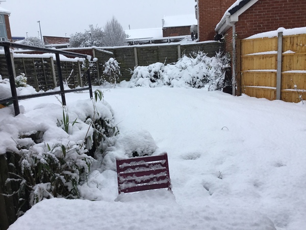 Who's got snow today?