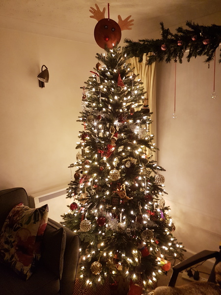 Lets see your trees!