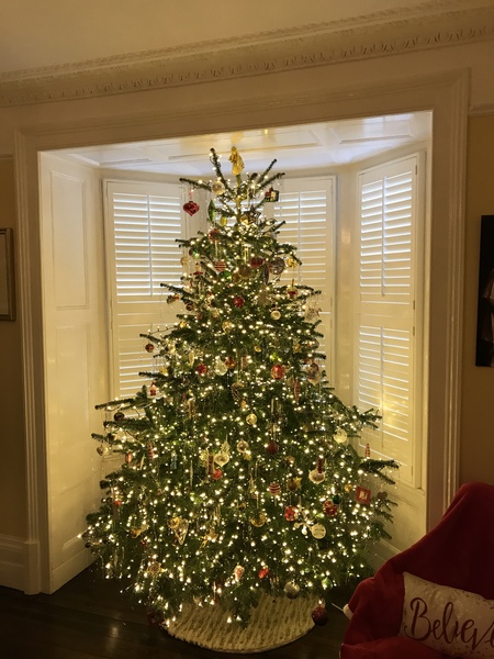 Lets see your trees!