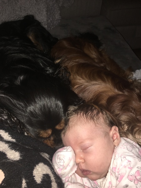 First time mums 2017/ early 2018