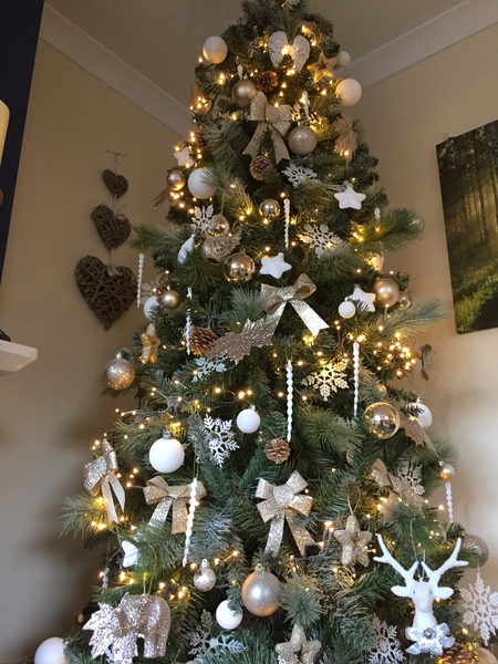 Lets see your trees!