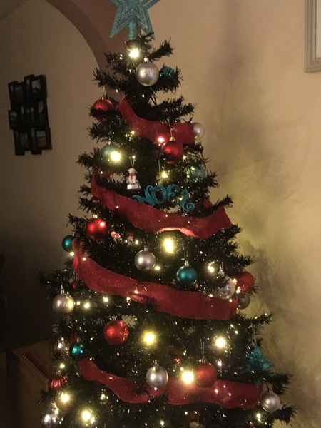 Lets see your trees!