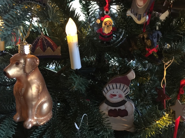 Lets see your trees!