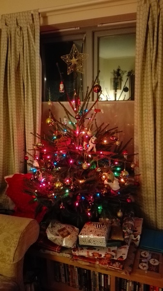 To want a peek at your tree?