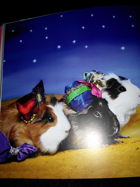 🐹 and 🐇 related Christmas gifts