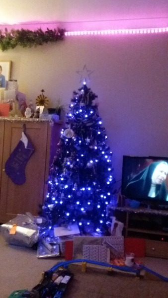 To want a peek at your tree?