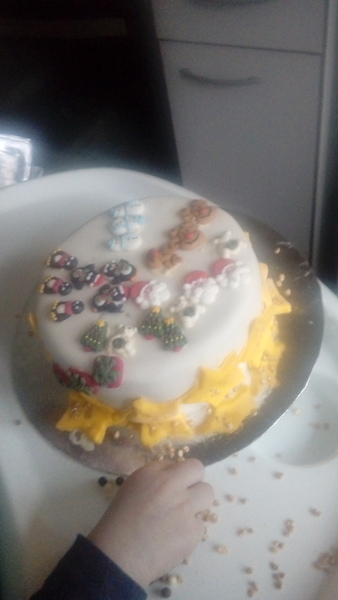 Can we have a 'here's my Christmas cake' thread....
