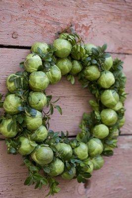 To think everyone is obsessed with brussel sprouts this year?