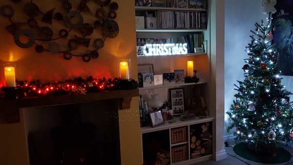 To want a peek at your tree?