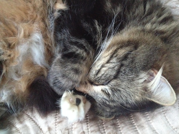 Sharing the Shitness - HOF Advent Calendar SPOILERS