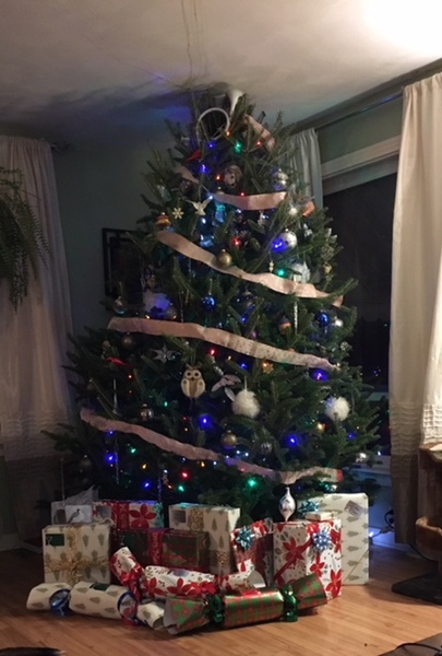 To want a peek at your tree?