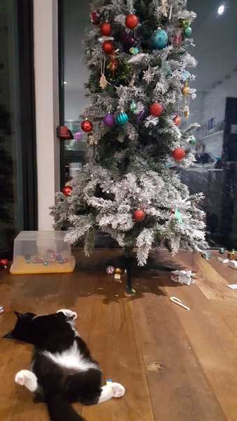Pre Christmas clean thread?