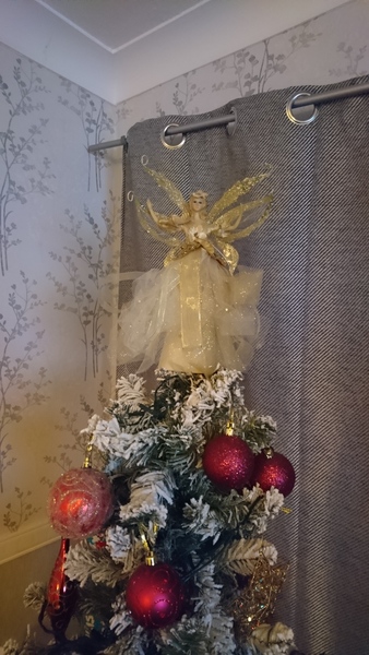 What, if anything, do you have on top of your tree?