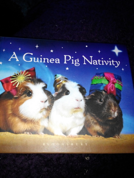 🐹 and 🐇 related Christmas gifts