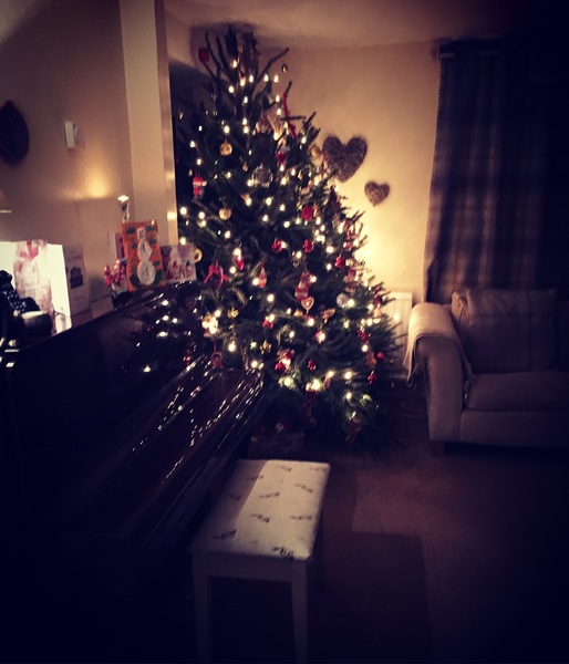 Lets see your trees!