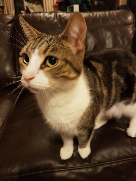 Sharing the Shitness - HOF Advent Calendar SPOILERS