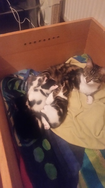 Unexpected birth