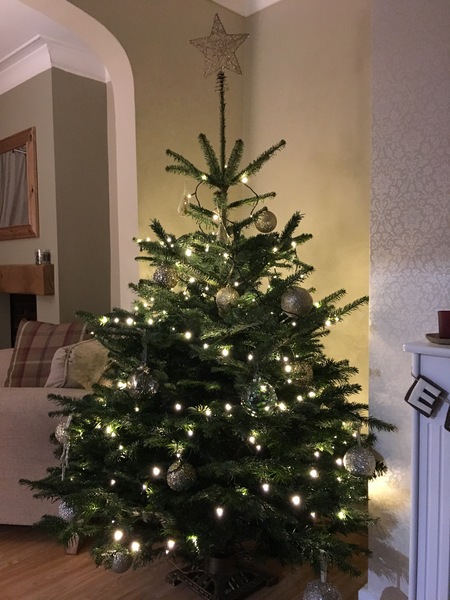 Lets see your trees!