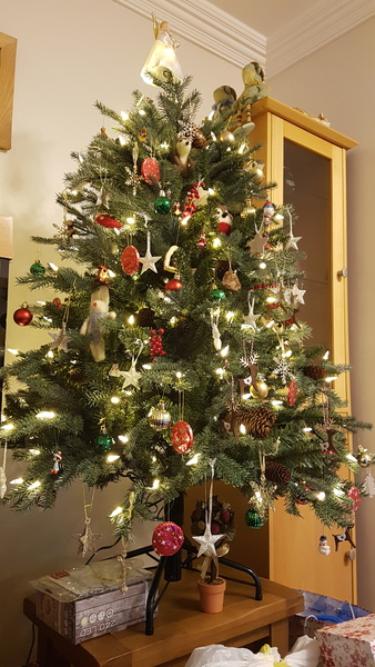 To buy a £300 Christmas tree?