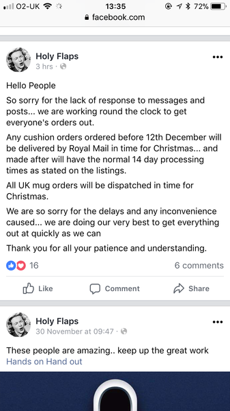 Anyone ordered from the Holyflaps website? Is it a big ol' scam?