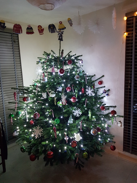 Lets see your trees!